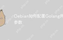Debian如何配置Golang网络参数