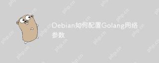 Debian如何配置Golang网络参数