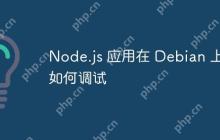 Node.js 应用在 Debian 上如何调试