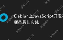 Debian上JavaScript开发有哪些最佳实践