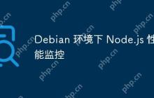 Debian 环境下 Node.js 性能监控