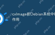cxImage在Debian系统中的作用