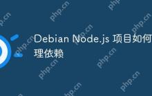 Debian Node.js 项目如何管理依赖