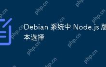 Debian 系统中 Node.js 版本选择