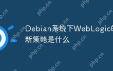Debian系统下WebLogic的更新策略是什么