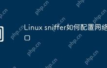 Linux sniffer如何配置网络接口