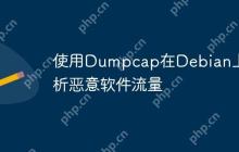 使用Dumpcap在Debian上分析恶意软件流量