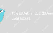 如何在Debian上设置Dumpcap捕获规则