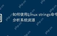 如何使用Linux strings命令分析系统资源