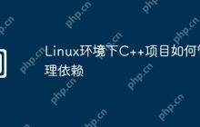 Linux环境下C++项目如何管理依赖