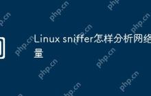 Linux sniffer怎样分析网络流量