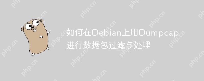 如何在Debian上用Dumpcap進行數據包過濾與處理-小浪學習網