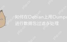 如何在Debian上用Dumpcap进行数据包过滤与处理