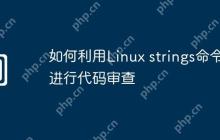 如何利用Linux strings命令进行代码审查