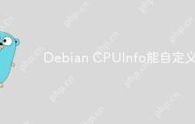 Debian CPUInfo能自定义吗
