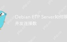 Debian FTP Server如何限制并发连接数