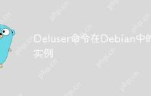 Deluser命令在Debian中的实例