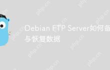 Debian FTP Server如何备份与恢复数据