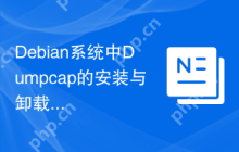 Debian系统中Dumpcap的安装与卸载指南