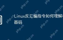Linux反汇编指令如何理解机器码