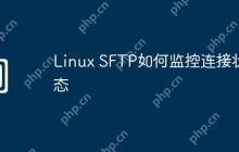 Linux SFTP如何监控连接状态