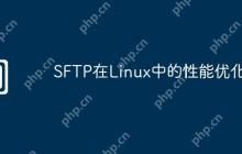 SFTP在Linux中的性能优化