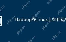 Hadoop在Linux上如何运行
