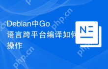 Debian中Go语言跨平台编译如何操作