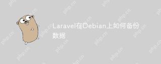 Laravel在Debian上如何备份数据