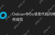 Debian中Go语言代码风格如何规范