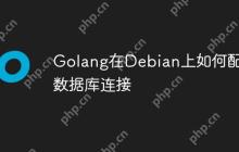 Golang在Debian上如何配置数据库连接