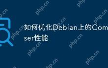 如何优化Debian上的Composer性能
