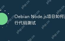 Debian Node.js项目如何进行代码测试