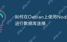 如何在Debian上使用Node.js进行数据库连接