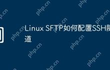 Linux SFTP如何配置SSH隧道