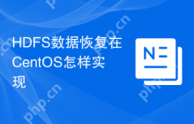 HDFS数据恢复在CentOS怎样实现