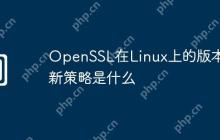 OpenSSL在Linux上的版本更新策略是什么