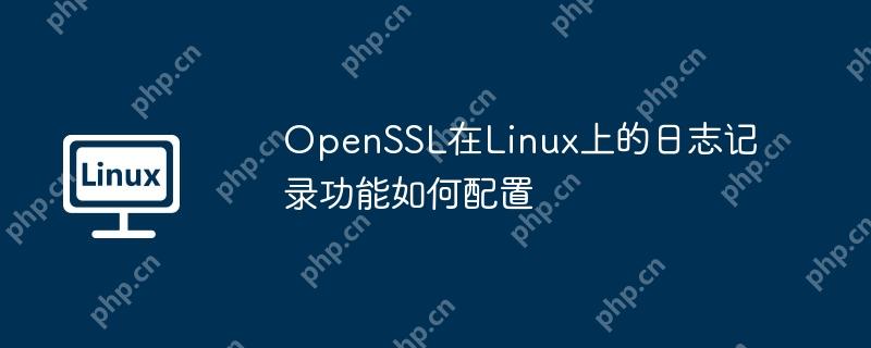 OpenSSL在Linux上的日志记录功能如何配置-小浪学习网