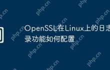 OpenSSL在Linux上的日志记录功能如何配置