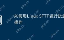 如何用Linux SFTP进行批量操作