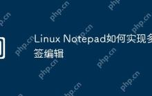Linux Notepad如何实现多标签编辑