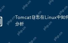 Tomcat日志在Linux中如何分析
