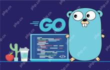 剖析 Go 语言结构体标签（struct tags）的常见使用问题