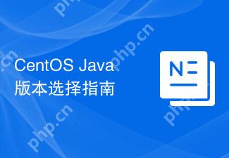 CentOS Java Versionsauswahlhandbuch