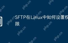 SFTP在Linux中如何设置权限