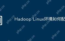 Hadoop Linux环境如何配置