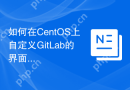如何在CentOS上自定义GitLab的界面
