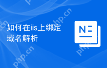 如何在iis上绑定域名解析
