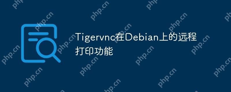 Tigervnc在Debian上的远程打印功能