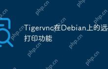 Tigervnc在Debian上的远程打印功能